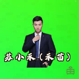 苏小禾 (禾苗)